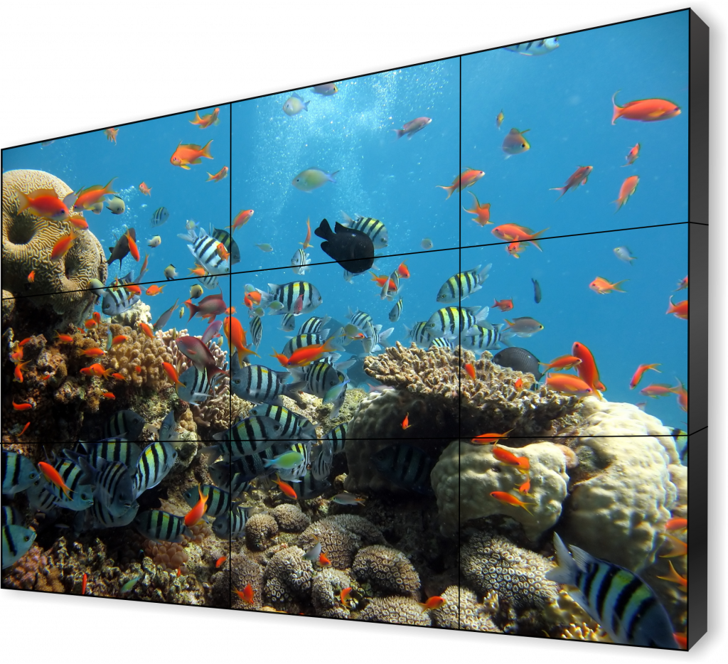 video wall polytron